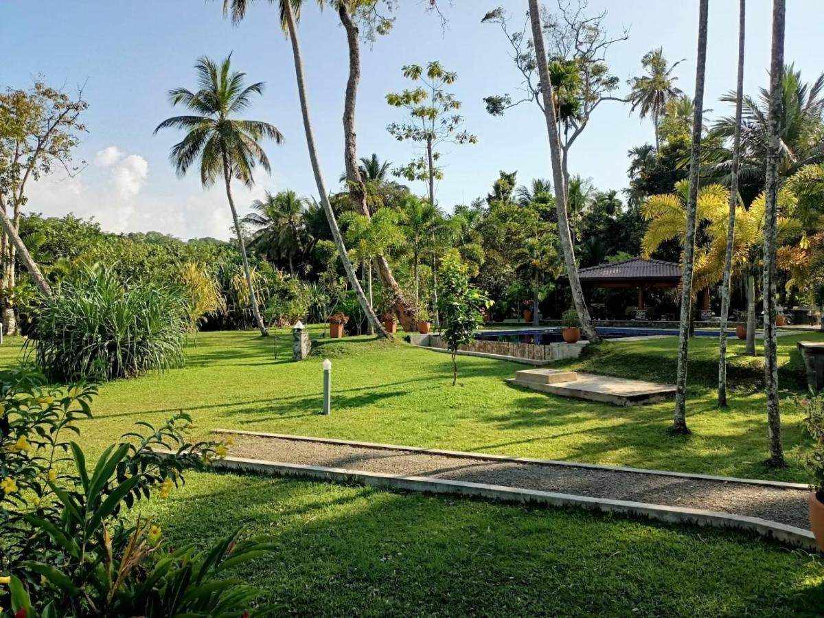 Avalon Village Resort إندوروفا المظهر الخارجي الصورة