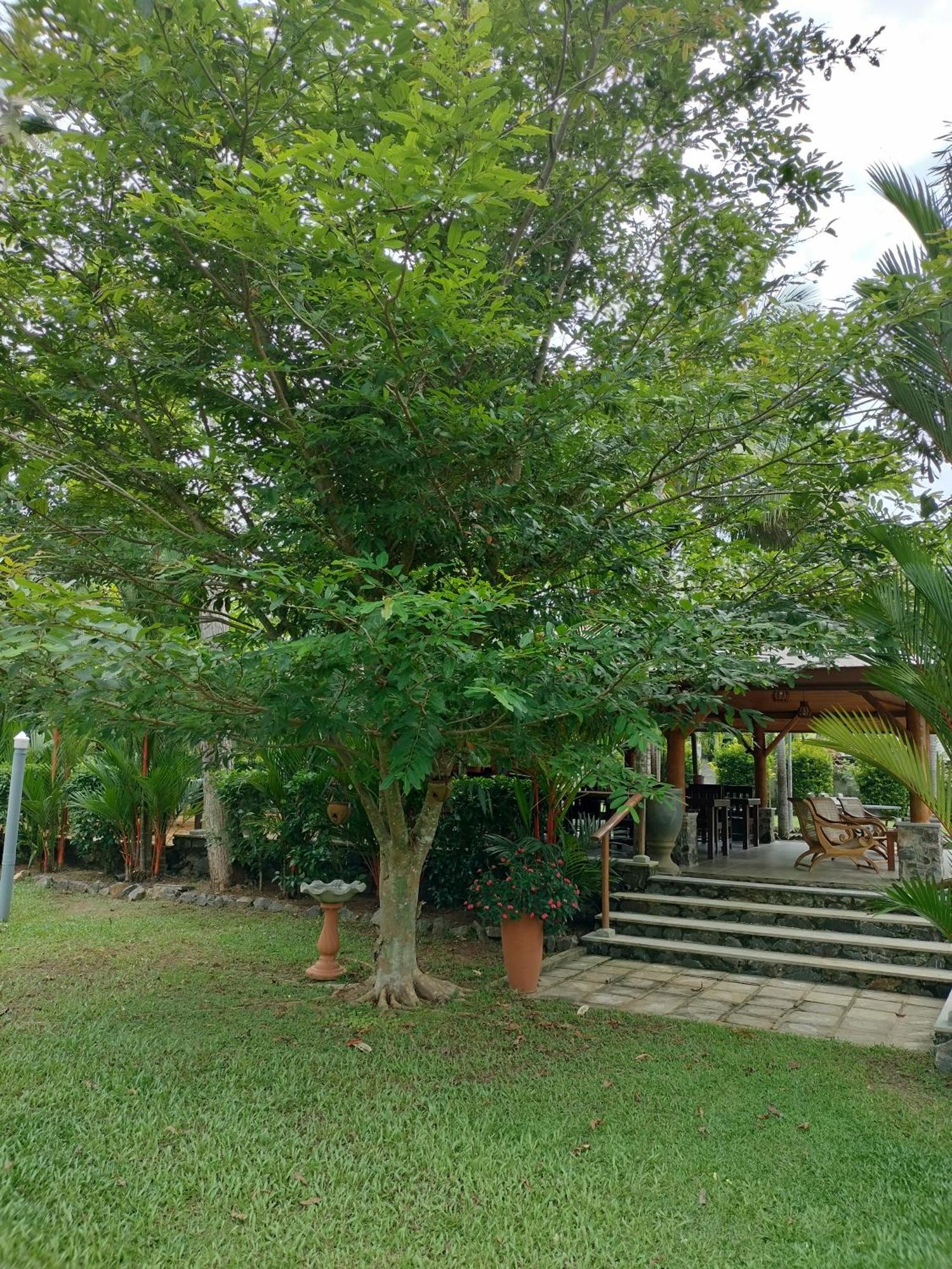 Avalon Village Resort إندوروفا المظهر الخارجي الصورة