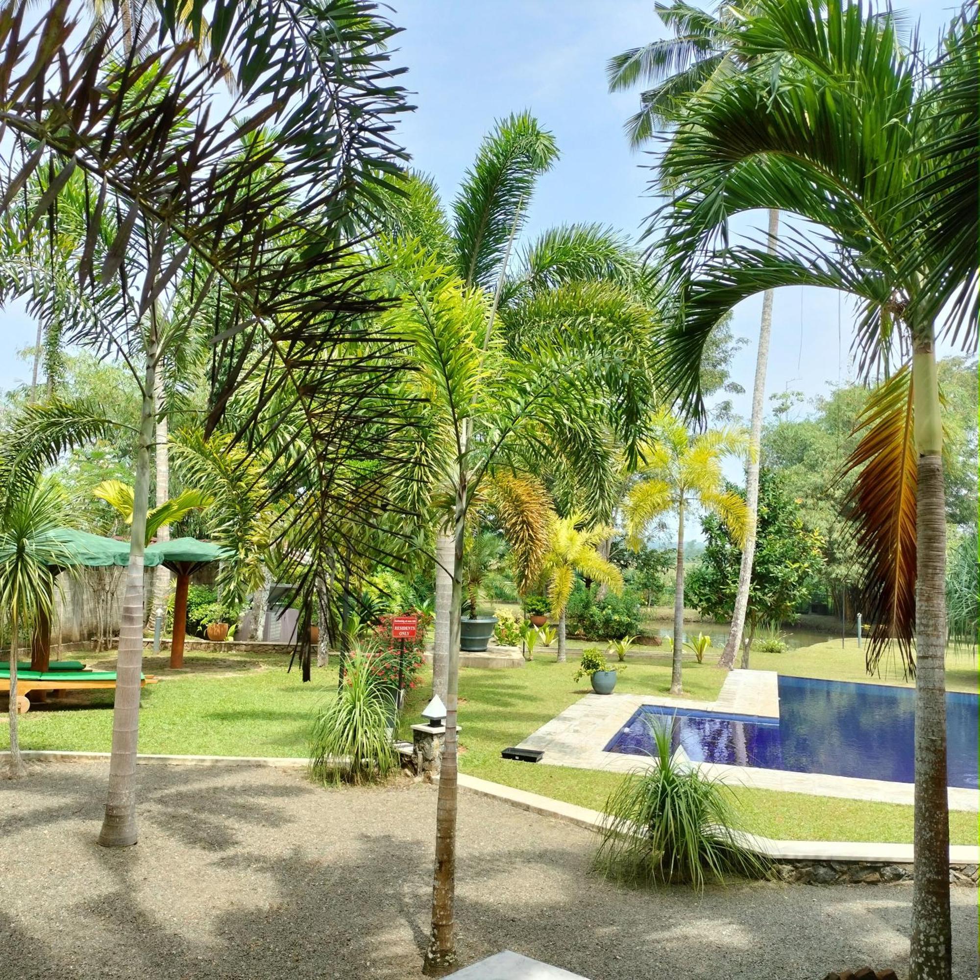 Avalon Village Resort إندوروفا المظهر الخارجي الصورة