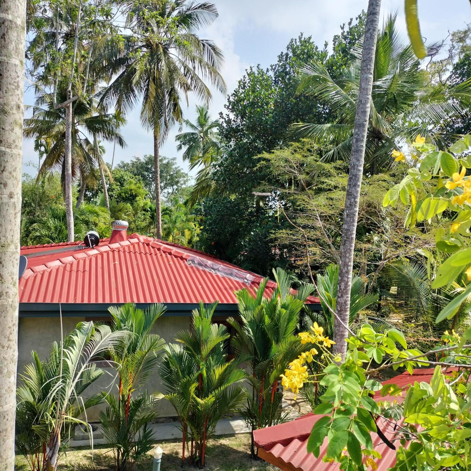 Avalon Village Resort إندوروفا المظهر الخارجي الصورة